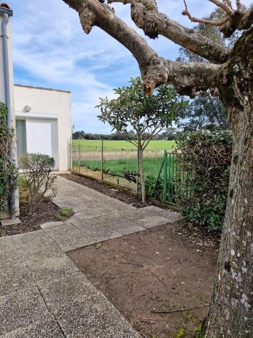 L'hibiscus Maison 4 Personnes Dolus-d'Oleron